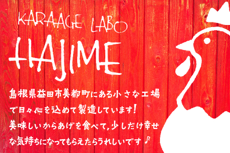 B-1061 ハジメのからあげ　秘伝ダレの下味付き鶏モモ肉（300g×10袋）【鶏肉 もも肉 唐揚げ にんにく醤油 冷凍 揚げ物 お弁当 運動会 バーベキュー BBQ ホームパーティ 300g×10袋 肉 若鶏もも肉 下味付き】