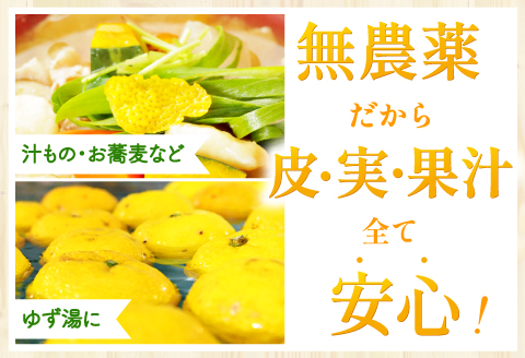 A-78 【有機JAS認定】無農薬ゆず玉　5kg