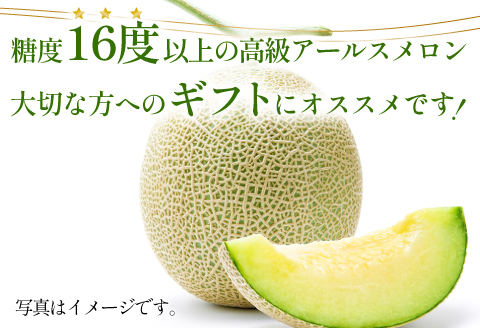 A-762 【先行予約】［夏作］糖度厳選プレミアム アールスメロン 1玉【メロン 先行予約 青肉 めろん 早期予約 期間限定 季節限定 果物 くだもの フルーツ アールスメロン 1玉 夏作 糖度16度以上 7月～8月発送】