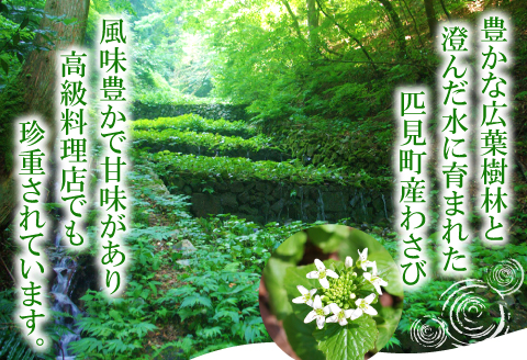A-120 匹見産花わさび醤油漬け【50g×2袋×4セット 合計8袋 400g 加工食品 漬物 野菜 山菜 花山葵 鮮度抜群 無添加 無香料 化学調味料不使用 お酒の肴 少量パック 食べきりサイズ 真空パック 冷凍】