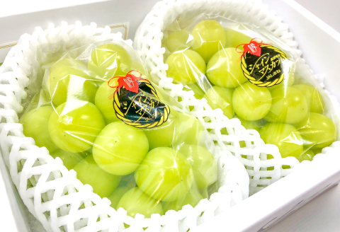 B-542 【先行予約】 シャインマスカット　2房【ぶどう シャインマスカット 種なし 先行予約 しゃいんますかっと 2房 たねなし 皮ごと 大粒 期間限定 季節限定】