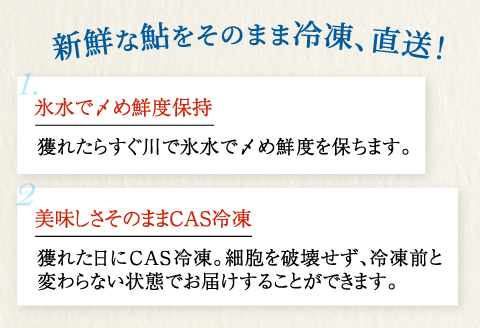 B-259高津川天然鮎『CAS冷凍』600g（200g/袋×3）【天然鮎 200g/袋×3 合計9尾または6尾 600g以上 魚貝類 魚介類 魚 川魚 あゆ アユ CAS冷凍 高鮮度 塩焼き みそ焼き 天ぷら 鮎飯 甘露煮 冷凍 期間限定 季節限定 6月15日以降発送】
