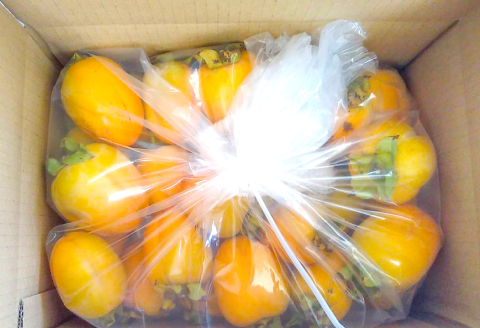 A-939 益田産　最上級の甘さの西条柿 3kg入り