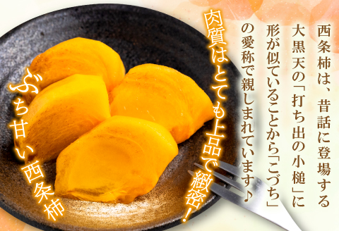 A-321 ぶち甘い西条柿 5kg