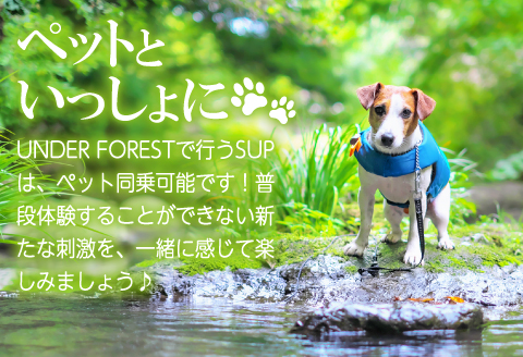 B-809 清流 高津川SUP体験（1人 2時間コース)