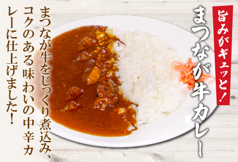 A-1133 まつなが牛を食らう！「わしのまつなが牛煮込み」・「まつなが牛カレー（２個）」セット【牛煮込み まつなが牛 松永牛 牛肉 煮込み カレー 中辛 ブランド黒毛牛 黒毛牛 セット 詰め合わせ 夕飯 おかず おつまみ 昼食 レトルト インスタント 簡単調理 時短】