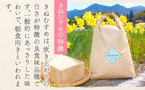 A-1136 【食べくらべ】横尾衛門のお米3種 (各2合×2袋)【新米 先行予約 米 お米 白米 精米 ブランド米 コシヒカリ こしひかり つや姫 きぬむすめ 食べ比べ 小分け】