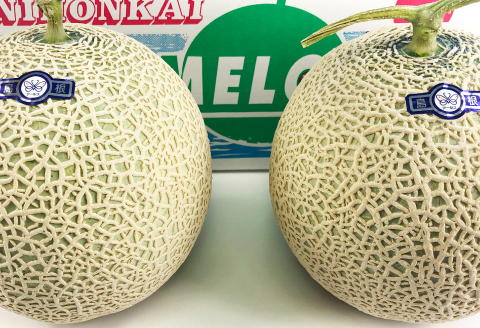 B-1153 【先行予約】夏と秋に食べたい益田のアールスメロン 2玉×2回コース（定期便）【メロン 先行予約 期間限定 季節限定 早期予約 果物 くだもの フルーツ アールスメロン 秋作 夏作 旬 定期】