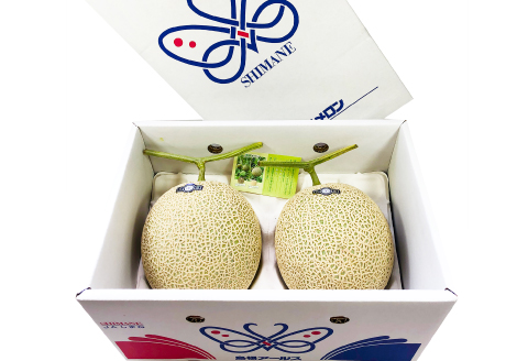 A-1154 【先行予約】青肉アールスメロン（2玉入）【メロン 先行予約 2玉 期間限定 季節限定 果物 フルーツ めろん マスクメロン アールスメロン 糖度14度以上 青肉】