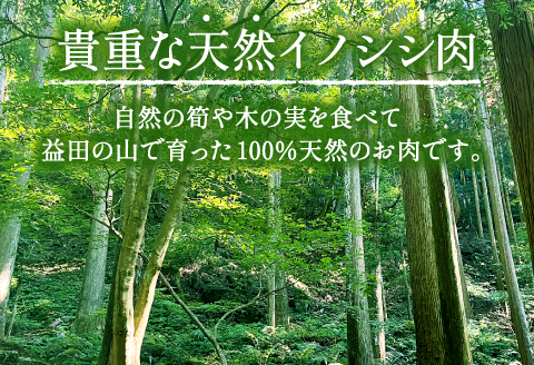 A-713 天然いのしし肉（ぼたん鍋用薄切りスライス）【期間限定 季節限定 250g×2袋 12月～3月発送 冷凍 ロース 肩ロース モモ肉 もも肉 バラ肉 ばら肉 イノシシ肉 ぼたん鍋用 薄切りスライス 肉 猪肉 低カロリー 高タンパク 栄養豊富食材 ジビエ 鍋 牡丹鍋】