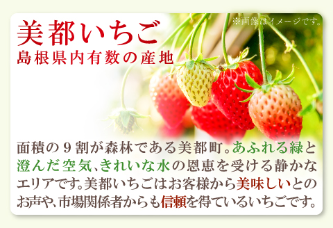 A-1064 朝採れ　いちご 1.4kg（350g×4パック）【先行予約 いちご 果物 フルーツ 苺 イチゴ 1.4kg 350g 4パック 朝採れ 新鮮 ジューシー 冷蔵 期間限定 季節限定 早期予約】