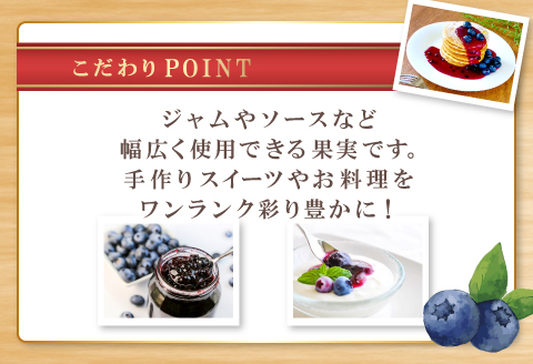 A-1220 朝採れブルーベリー【ブルーベリー ぶるーべりー 1kg 朝採れ 生食 冷蔵 果物 くだもの フルーツ 産地直送 期間限定 季節限定 早期予約】