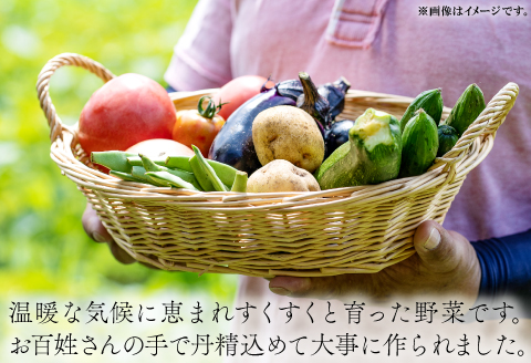 A-198 朝採れ地元 野菜おまかせセット【野菜 やさい おまかせ セット 旬の野菜 四季の旬 春野菜 夏野菜 秋野菜 冬野菜】
