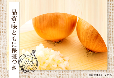 A-325 益田市特産『手磨き玉ねぎ』【先行予約 期間限定 季節限定 早期予約 野菜 やさい たまねぎ タマネギ 玉葱 10kg 数量限定】