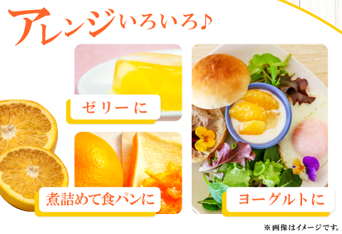 A-859 有機肥料使用「こだわりの八朔」