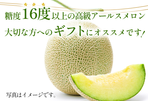 B-1009 【先行予約】[夏作] 糖度厳選プレミアム　アールスメロン2玉【メロン 糖度16度以上 夏作 先行予約 早期予約 季節限定 期間限定 果物 フルーツ めろん プレゼント 贈り物 ご褒美 贅沢】