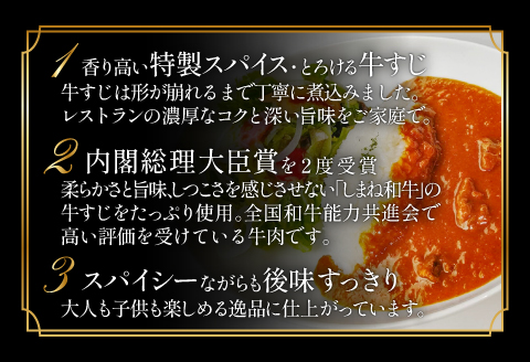 B-1202 Restaurant Pony 和田シェフが創る「しまね和牛」牛すじ入りデリシャスカレー 8袋【和牛 牛すじ ビーフカレー 欧風カレー 温めるだけ 簡単 時短 冷凍食品 惣菜 お取り寄せ グルメ】