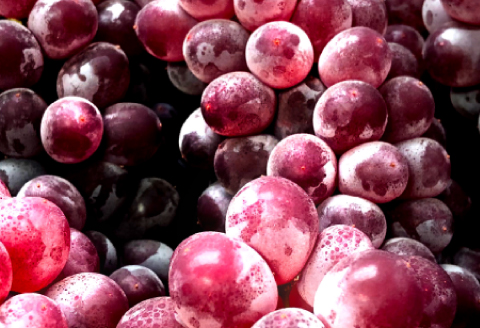 B-545 【先行予約】今が旬！デラウエア 2kg【ぶどう デラウェア 先行予約 期間限定 季節限定 早期予約 果物 くだもの フルーツ 葡萄 ブドウ】