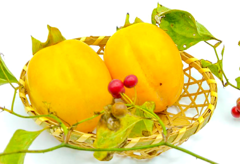 D-1168 益田の美味しいフルーツ定期便（5回）