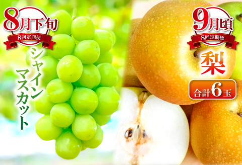 E-635 【定期便】益田市四季の旬果定期便 8種【フルーツ 定期便 果物 くだもの 先行予約 期間限定 数量限定 季節限定 早期予約 デラウェア 葡萄 ぶどう ブドウ アムスメロン アールスメロン 巨峰 シャインマスカット 梨 なし 西条柿 いちご 苺 イチゴ】