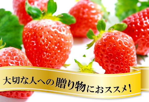 A-27 【先行予約】美都いちご（ギフトBOX）【いちご 2月発送 完熟 果物 くだもの フルーツ 苺 イチゴ ストロベリー 美都いちご 平2パック 大粒 ギフト ギフトボックス入り 冷蔵 先行予約 期間限定 季節限定 早期予約】