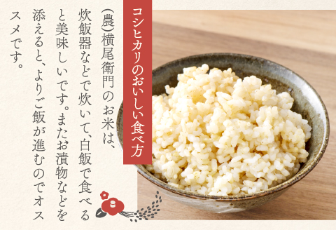 B-1092 横尾衛門のコシヒカリ 玄米 20kg【新米 米 お米 玄米 特別栽培米 低農薬 低化学肥料 ブランド米 コシヒカリ 20kg 1袋】