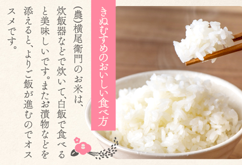 B-1094 横尾衛門のきぬむすめ 玄米 20kg【新米 先行予約 米 お米 玄米 ブランド米 きぬむすめ 20kg 1袋】