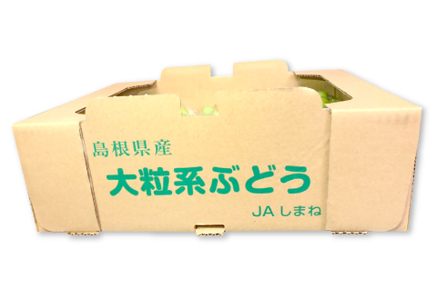 D-524 【先行予約】甘くて美味しい シャインマスカット 5kg（6～12房）【ぶどう 先行予約 ぶどうシャインマスカット シャインマスカット しゃいんますかっと 葡萄 ブドウ マスカット 5.0kg 6房～12房 種なし たねなし 皮ごと 大粒 紙袋付き おすそわけ 期間限定 季節限定 8月中旬～9月下旬発送】