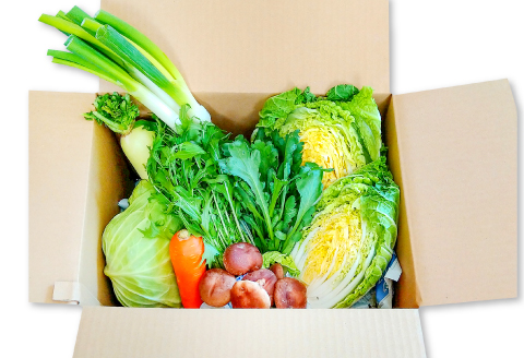 D-393 すき焼きセット（松永和牛すき焼き用500g・野菜5品以上・お米2kg）