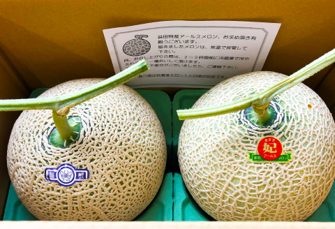 A-702 【先行予約】青肉と赤肉のアールスメロンセット【メロン 食べ比べ 先行予約 期間限定 季節限定 果物 フルーツ メロン めろん マスクメロン アールスメロン 各1玉 メロン 赤肉 青肉】