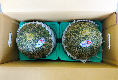 A-546 【先行予約】今年もおいしい『アムスメロン2玉』【メロン 2玉 先行予約 期間限定 季節限定 早期予約 果物 くだもの フルーツ めろん アムスメロン 夏作 青肉】