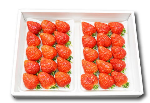 B-26 早出し 美都いちご（ギフトBOX）