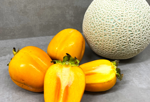 B-643 糖度14度以上のアールスメロン秀品1玉と大玉西条柿12玉のセット