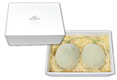 B-14 アールスメロン　秀品　2玉【秋作】