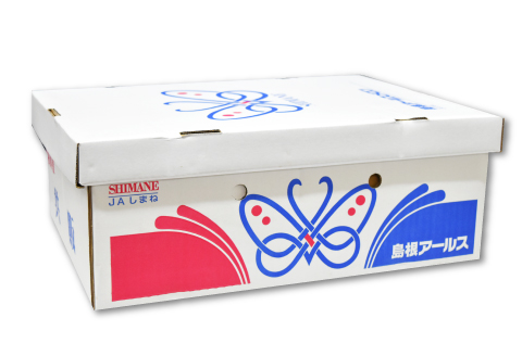 C-12 アールスメロン　秀品　1c/s（4玉）【秋作】