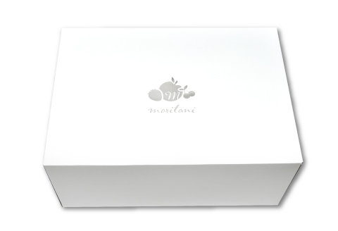 B-625 初物 糖度14度以上のアムスメロン 高級赤秀品 2玉【先行予約 メロン めろん 果物 くだもの フルーツ アムスメロン 糖度14度以上 高級 赤秀品 期間限定 季節限定 早期予約】