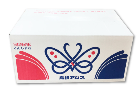 C-410 初物 糖度14度以上 アムスメロン 高級赤秀品 1ケース（3～5玉）【メロン 先行予約 果物 くだもの フルーツ アムスメロン めろん 糖度14度以上 高級 赤秀品 期間限定 季節限定 早期予約】