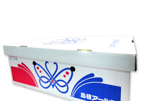 B-927 益田産アールスメロン 夏作 3～5玉