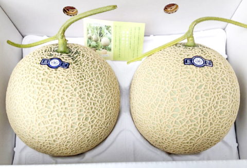 B-930 益田産 メロンの食べ比べ 2玉 2回コース(アムスメロン・アールスメロン)