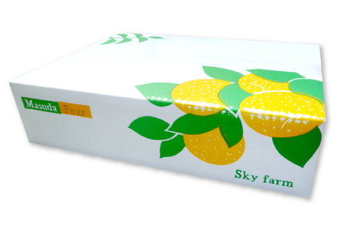 A-937 【先行予約】瑞秋梨　2㎏【梨 先行予約 瑞秋梨 2㎏ 6玉位 果物 くだもの フルーツ なし 旬 8月下旬～9月下旬発送 期間限定 季節限定 ギフト 贈り物】