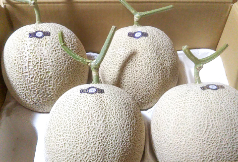 D-948 【先行予約】益田のおいしい果物 定期便(3回コース)【先行予約 シャインマスカット 2kg 赤梨 5kg アールスメロン 3～5玉 定期便 3回 お楽しみ マスカット 大粒 種なし 皮ごと梨 豊水梨 新興梨 新高梨 メロン 高級 高糖度 ギフト 贈答 贈り物 お歳暮 果物 くだもの フルーツ】