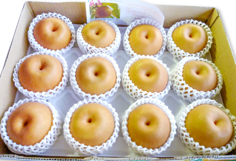 A-681 訳あり梨 5kg（規格外・家庭用）【先行予約 数量限定 期間限定 季節限定 幸水 豊水 新高 新興 瑞秋 訳あり 梨 5kg 果物 フルーツ 梨 なし わけあり 家庭用 不揃い 規格外】