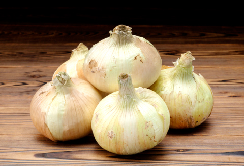 A-1066 益田産新玉葱 10kg