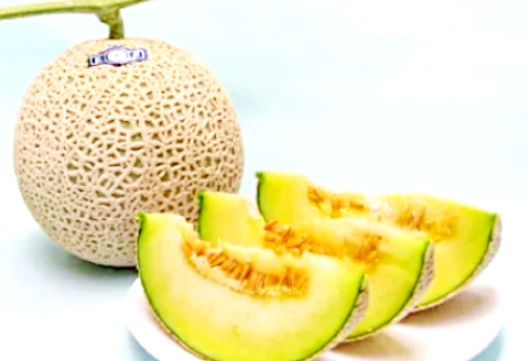 A-168 益田産アールスメロン（2玉入り）【夏作】