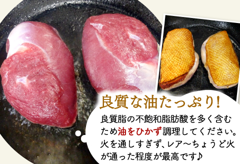 A-868 	田んぼで育ったアイガモ肉丸ごと1～2羽分(700ｇ以上)【合鴨肉 1～2羽分 700g以上 冷凍 むね肉 もも肉 ささみ ブロック肉 鴨肉 鴨 カモ 鴨焼き 鍋 鴨そば 鴨南蛮 数量限定】