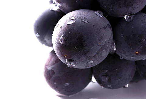 B-1001 【先行予約】朝採れ種なしぶどう 巨峰 2kg【巨峰 種なし ぶどう きょほう 先行予約 2キロ たねなし 朝採れ 冷蔵 期間限定 季節限定 8月発送】