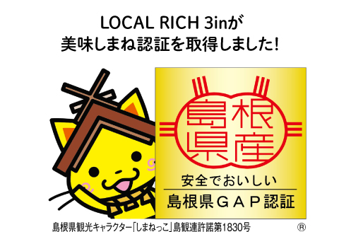 A-679 絶対鮮度！農家直送のシャインマスカット 2房（1kg以上）