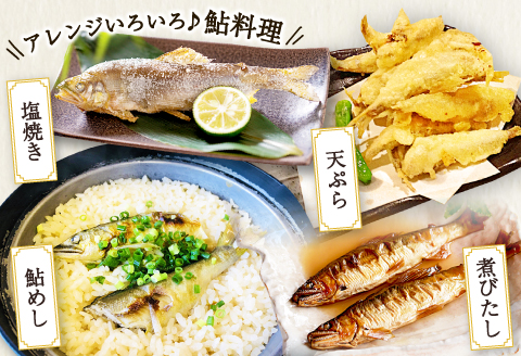 A-258 高津川天然鮎『CAS冷凍』3尾/袋×2（300g）【天然鮎 3尾/袋×2 合計6尾 300g以上 魚貝類 魚介類 魚 川魚 あゆ アユ CAS冷凍 高鮮度 塩焼き みそ焼き 天ぷら 鮎飯 甘露煮 冷凍 期間限定 季節限定 6月15日以降発送】