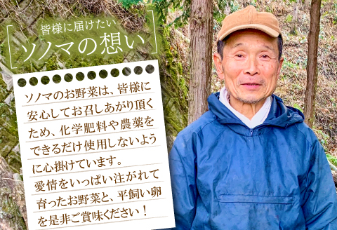 A-793 新鮮！季節のお野菜と平飼い卵のセット（10～12品）【野菜 10～12品以上 季節の野菜 旬 新鮮 取れたて お楽しみ 卵 たまご 平飼い卵 10個 破損保証 4個 詰め合わせ セット 冷蔵】