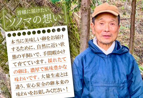 A-791 大久保さんちの元気たまご 平飼い 40個【卵 平飼い とれたて卵 破損保証8個 抗生物質不使用 安心 安全 新鮮 冷蔵 常温】